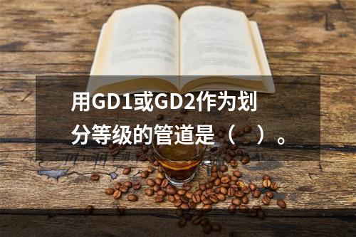 用GD1或GD2作为划分等级的管道是（　）。