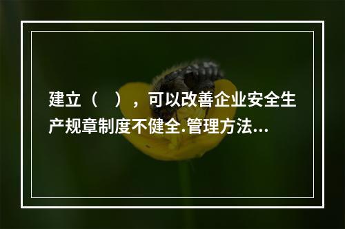 建立（　），可以改善企业安全生产规章制度不健全.管理方法不适