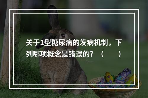 关于1型糖尿病的发病机制，下列哪项概念是错误的？（　　）