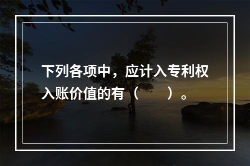 下列各项中，应计入专利权入账价值的有（　　）。