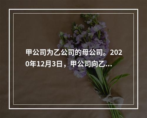 甲公司为乙公司的母公司。2020年12月3日，甲公司向乙公司