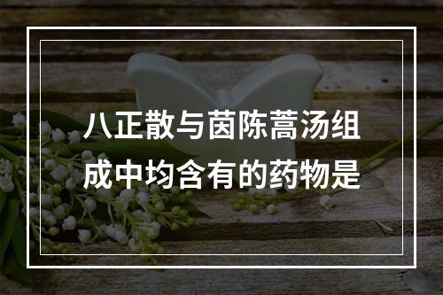 八正散与茵陈蒿汤组成中均含有的药物是