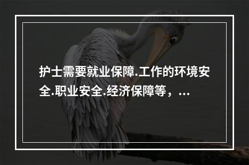 护士需要就业保障.工作的环境安全.职业安全.经济保障等，这些