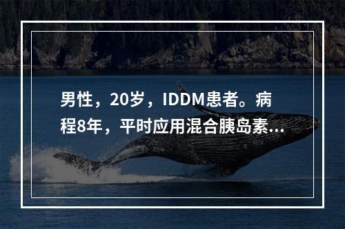 男性，20岁，IDDM患者。病程8年，平时应用混合胰岛素治疗