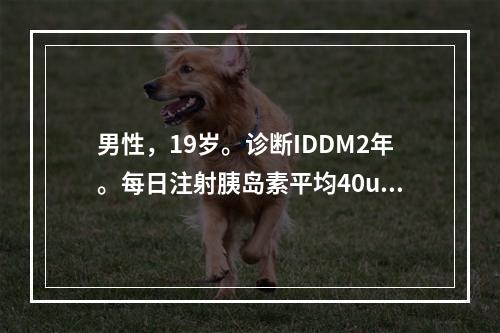 男性，19岁。诊断IDDM2年。每日注射胰岛素平均40u。近