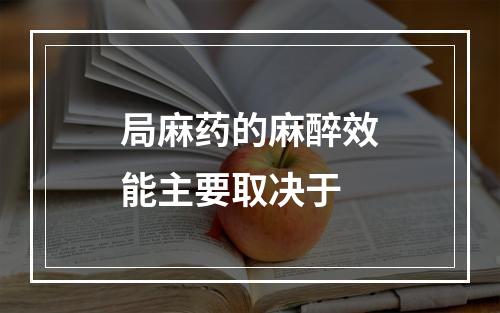 局麻药的麻醉效能主要取决于