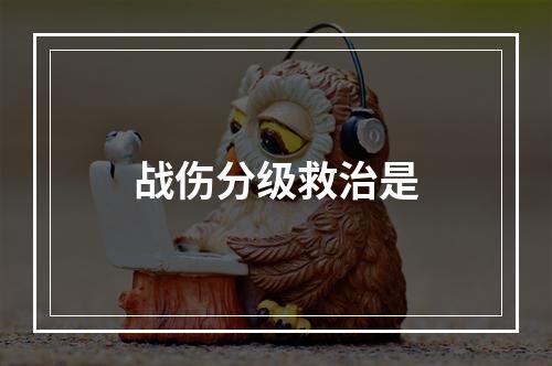 战伤分级救治是