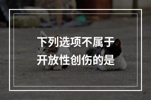 下列选项不属于开放性创伤的是