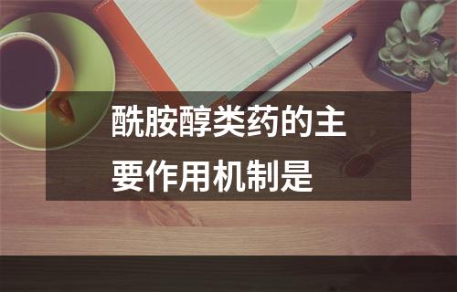 酰胺醇类药的主要作用机制是