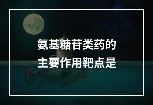 氨基糖苷类药的主要作用靶点是