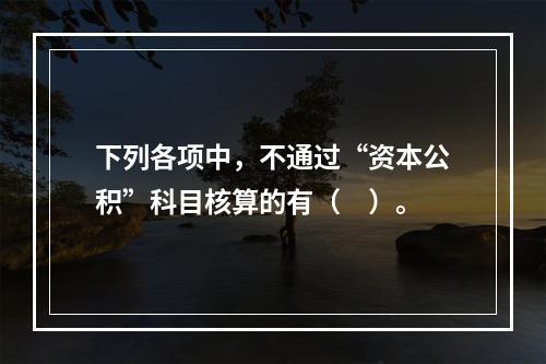 下列各项中，不通过“资本公积”科目核算的有（　）。