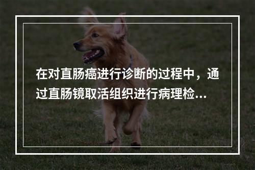 在对直肠癌进行诊断的过程中，通过直肠镜取活组织进行病理检查时