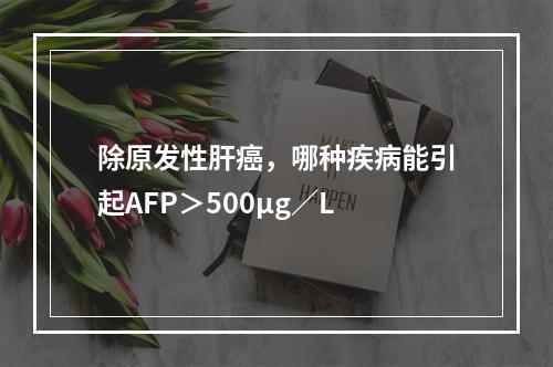 除原发性肝癌，哪种疾病能引起AFP＞500μg／L