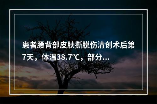 患者腰背部皮肤撕脱伤清创术后第7天，体温38.7℃，部分创面