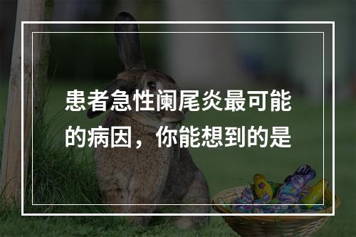 患者急性阑尾炎最可能的病因，你能想到的是