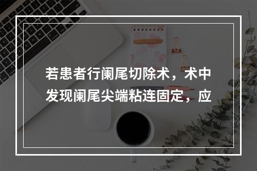 若患者行阑尾切除术，术中发现阑尾尖端粘连固定，应