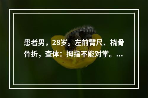 患者男，28岁。左前臂尺、桡骨骨折，查体：拇指不能对掌。考虑