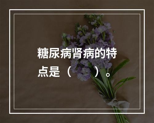 糖尿病肾病的特点是（　　）。