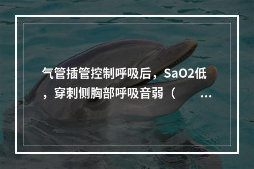 气管插管控制呼吸后，SaO2低，穿刺侧胸部呼吸音弱（　　）。