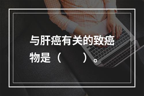 与肝癌有关的致癌物是（　　）。