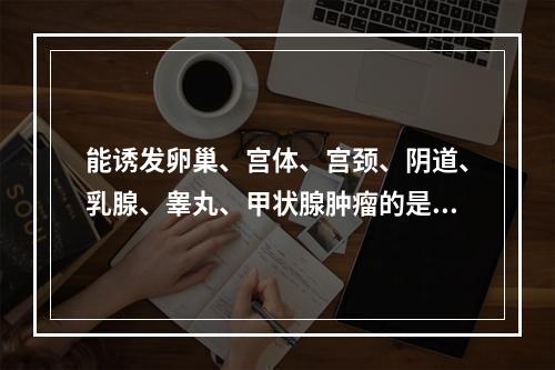 能诱发卵巢、宫体、宫颈、阴道、乳腺、睾丸、甲状腺肿瘤的是（　