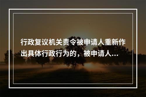 行政复议机关责令被申请人重新作出具体行政行为的，被申请人不得