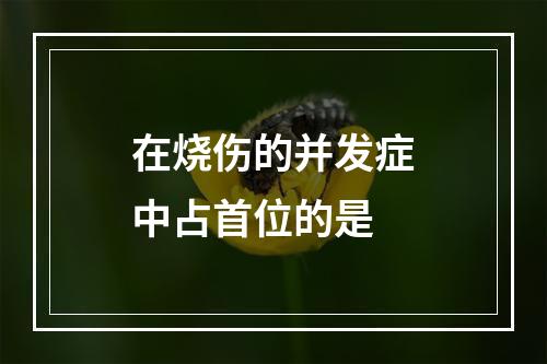 在烧伤的并发症中占首位的是