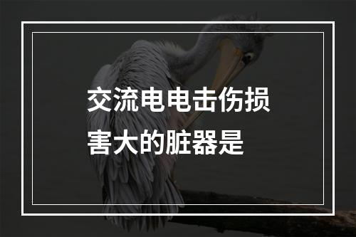 交流电电击伤损害大的脏器是