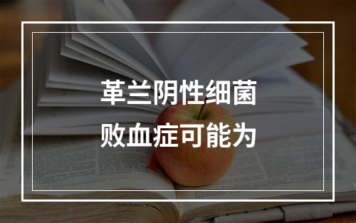 革兰阴性细菌败血症可能为