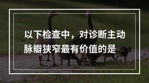 以下检查中，对诊断主动脉瓣狭窄最有价值的是