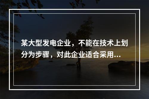 某大型发电企业，不能在技术上划分为步骤，对此企业适合采用的成