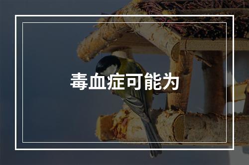 毒血症可能为