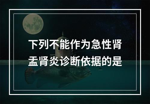 下列不能作为急性肾盂肾炎诊断依据的是