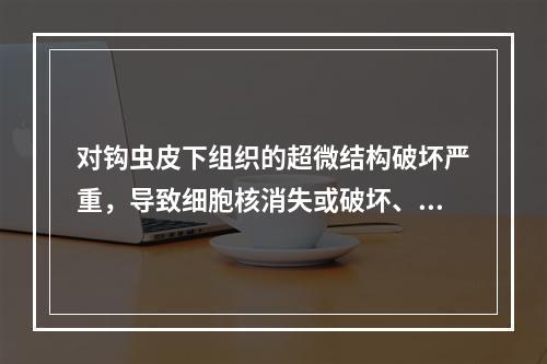 对钩虫皮下组织的超微结构破坏严重，导致细胞核消失或破坏、线粒