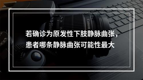 若确诊为原发性下肢静脉曲张，患者哪条静脉曲张可能性最大