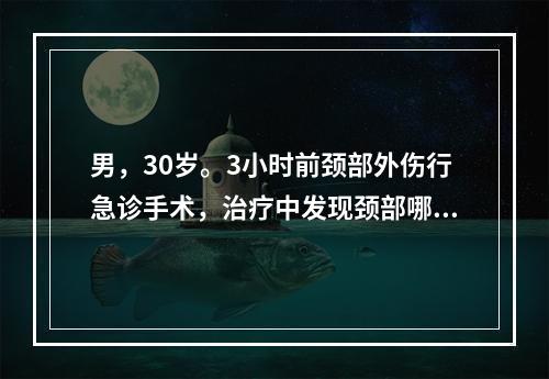 男，30岁。3小时前颈部外伤行急诊手术，治疗中发现颈部哪个动