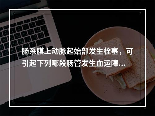 肠系膜上动脉起始部发生栓塞，可引起下列哪段肠管发生血运障碍