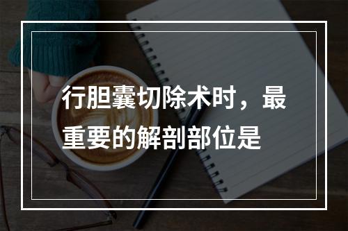 行胆囊切除术时，最重要的解剖部位是