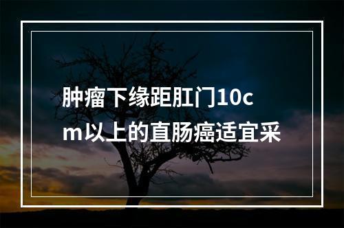 肿瘤下缘距肛门10cm以上的直肠癌适宜采