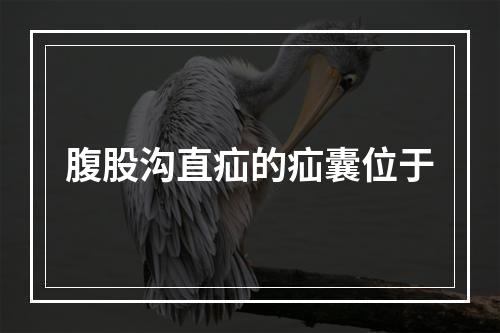 腹股沟直疝的疝囊位于