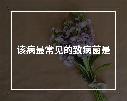 该病最常见的致病菌是