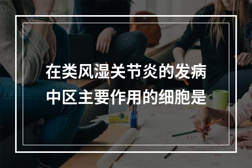 在类风湿关节炎的发病中区主要作用的细胞是