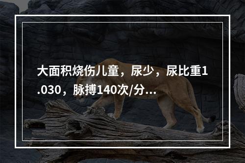 大面积烧伤儿童，尿少，尿比重1.030，脉搏140次/分，血