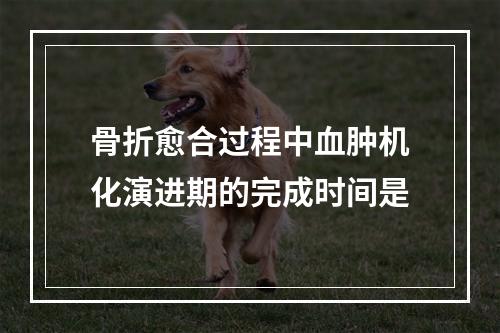 骨折愈合过程中血肿机化演进期的完成时间是