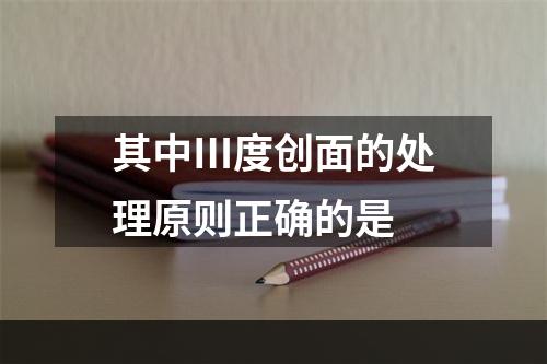 其中Ⅲ度创面的处理原则正确的是