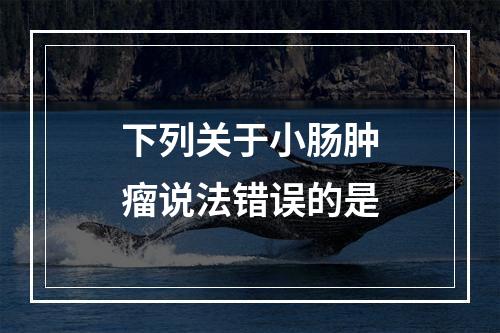 下列关于小肠肿瘤说法错误的是