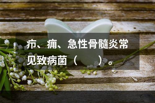 疖、痈、急性骨髓炎常见致病菌（　　）。