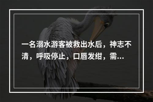 一名溺水游客被救出水后，神志不清，呼吸停止，口唇发绀，需口对