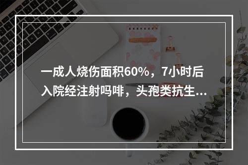 一成人烧伤面积60%，7小时后入院经注射吗啡，头孢类抗生素和