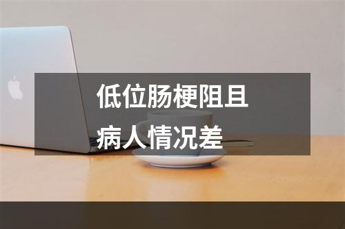 低位肠梗阻且病人情况差